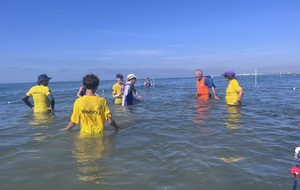 6a49142009064_IMG9097.JPG