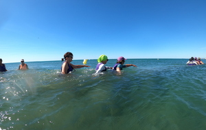 6a491931f36f0_vero.JPG